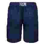 صورة Erkek Baoon Keten Bermuda