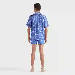 Изображение Erkek X-Ray Turtles Charli Gömlek