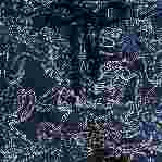 صورة Erkek Poulpes Bicolores Moorea Mayo