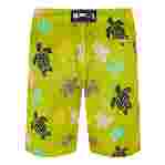 صورة Erkek Ronde Des Tortues Multicolore Okohina Mayo