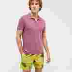 صورة Erkek Ronde Des Tortues Multicolore Mahina Mayo