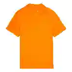 صورة Erkek Pyramid Polo