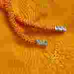 صورة Erkek Water Reactive Starfish Art Moorea Mayo