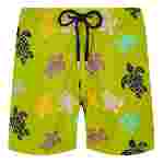 صورة Erkek Ronde Des Tortues Multicolore Mahina Mayo