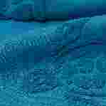 صورة Unisex Santah Plaj Havlusu