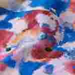 صورة Kız Çocuk Flowers in the Sky Gelly Mayo