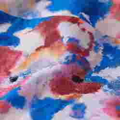 صورة Kız Çocuk Flowers in the Sky Gelly Mayo