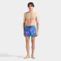 صورة Erkek Tortues Multicolores Moorise Mayo