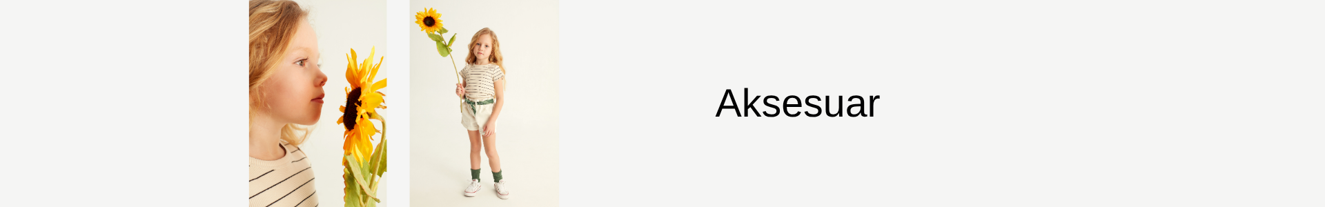 AksesuarKategorisi İçin Resim