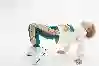 Resim Alt Eşofman 15970