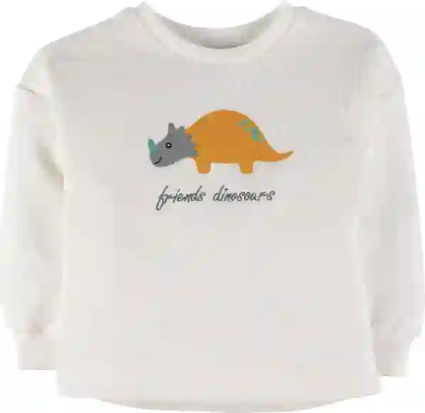 Resim Baskılı Sweatshirt 17083