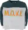 Resim Sweatshirt 17796