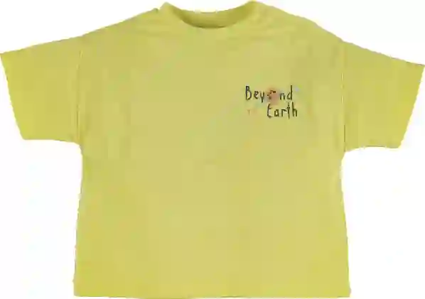 Resim Yazı Nakışlı T-Shirt 16460